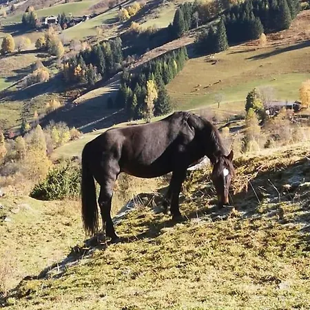 Appartamento Jana 4 Rauris