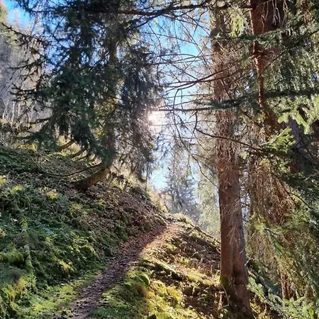 Jana 4 Appartamento *